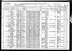 1910 Census Branham low res.jpg